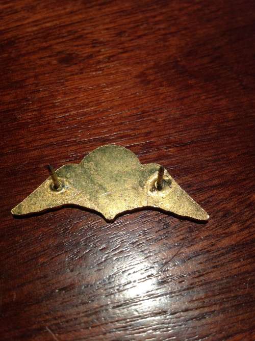 SA railway police regional special task force breast badge -