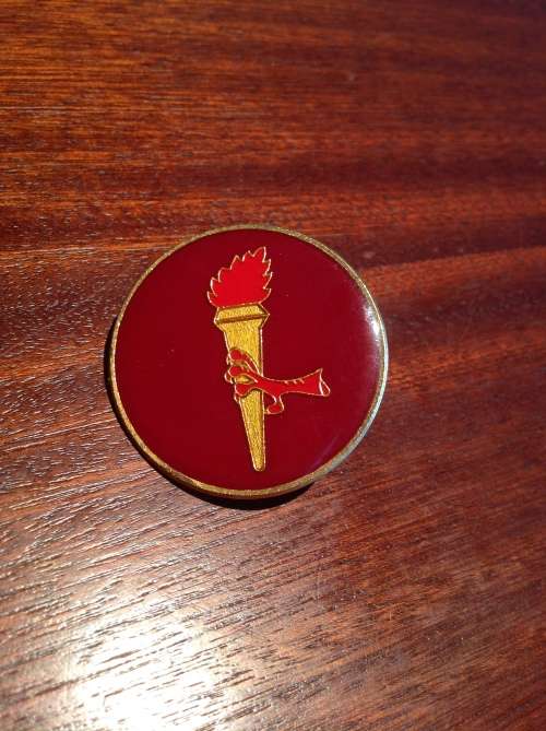 Sadf para Pathfinder qualification badge