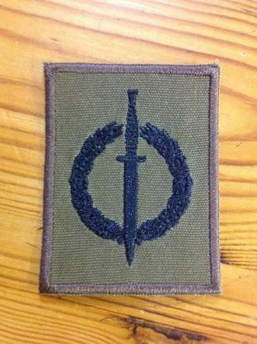 SA army Recce operators badge