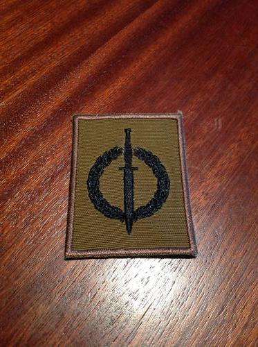 Sadf Recce operators badge