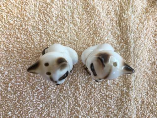 Siamese Cat Salt and Pepper - too adorable!