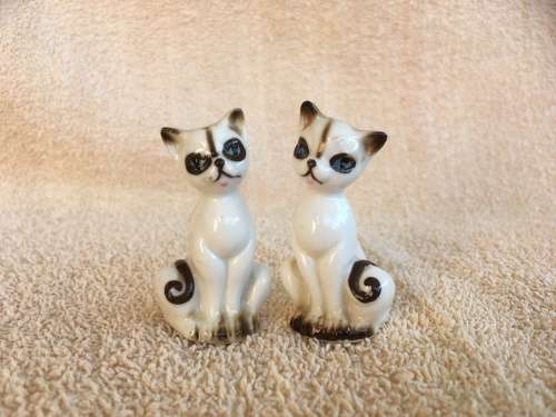 Siamese Cat Salt and Pepper - too adorable!