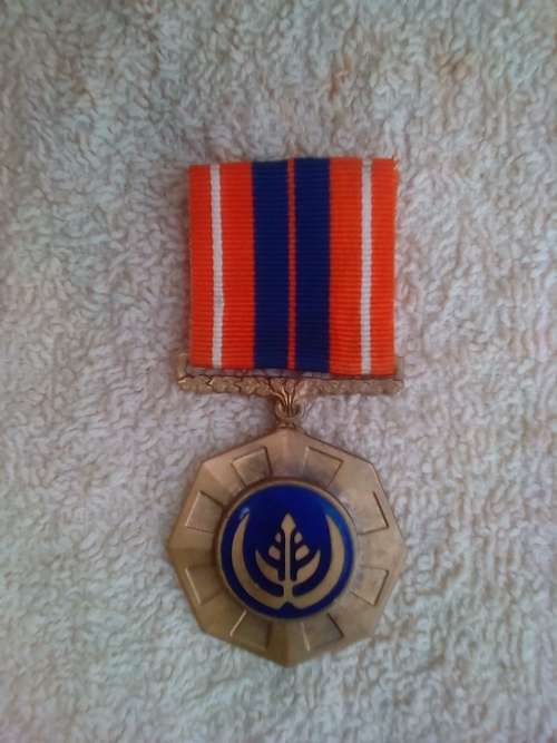 SADF FULL SIZE PRO PATRIA MEDAL NUMBERED AND ISSUED