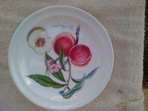 PORT MEIRION 6 X SIDE PLATES -GOOD CONDITION