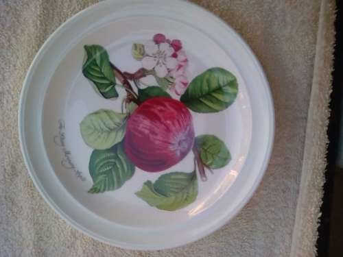 PORT MEIRION 6 X SIDE PLATES -GOOD CONDITION