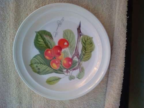 PORT MEIRION 6 X SIDE PLATES -GOOD CONDITION