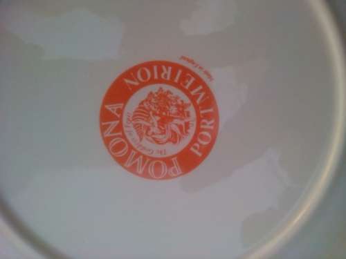 PORT MEIRION 6 X SIDE PLATES -GOOD CONDITION
