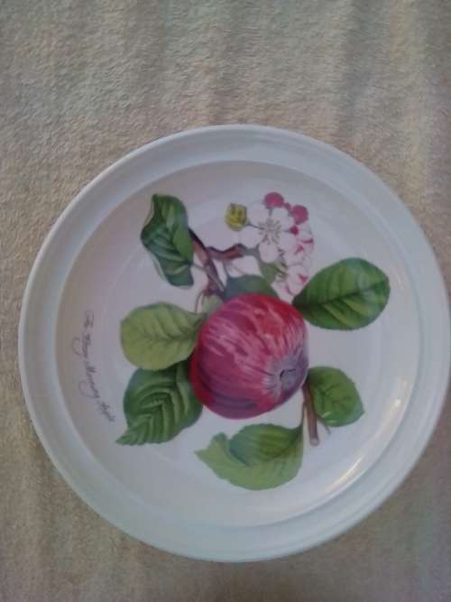 PORT MEIRION 7 X DINNER PLATES -GOOD CONDITION