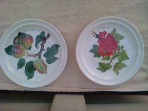 PORT MEIRION 7 X DINNER PLATES -GOOD CONDITION
