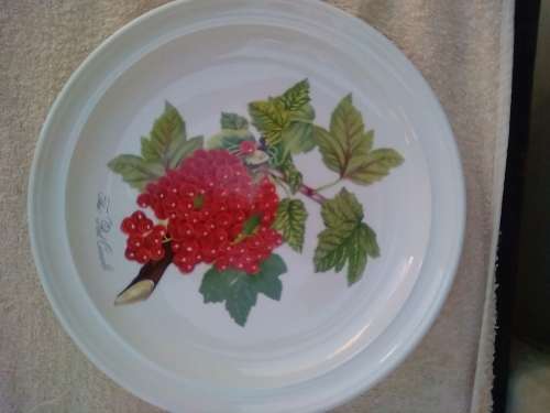 PORT MEIRION 7 X DINNER PLATES -GOOD CONDITION