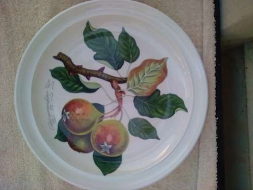PORT MEIRION 7 X DINNER PLATES -GOOD CONDITION