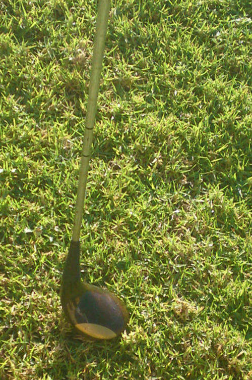 RAM Solid Wood Driver -