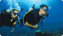 Scuba Course
