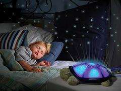 Turtle Night Sky Constellations - Green