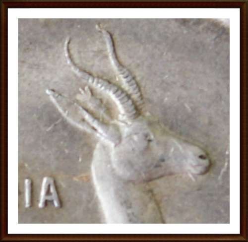 1966 Rep.S.A.One Rand Afrikaans,"Tagged" ear, Only About 400 known, in Good Condition, as per Photo.