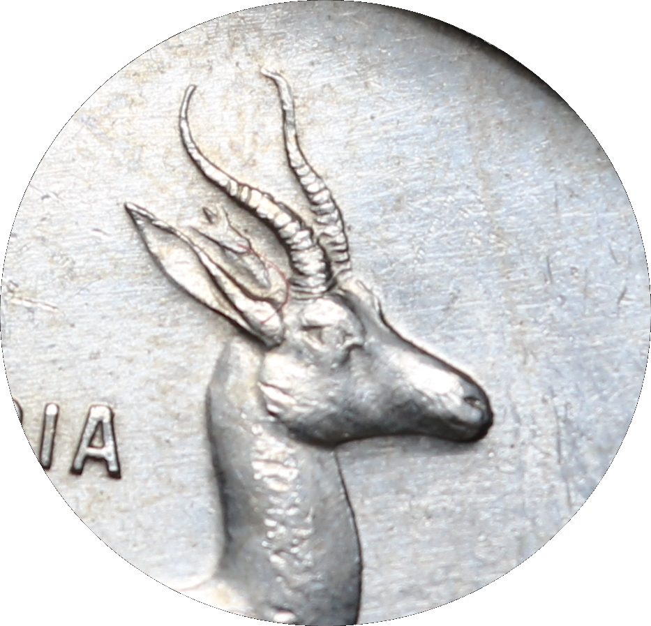 1966 : Rep. S.A : One Rand : Afrik : "Taggear" ear, Coin in AUNC Conditions + Error Coin?
