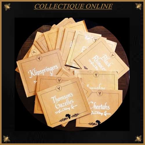 Official Big Game Proof Set of 20 Bronze Medals Franklin Mint & East African WildlifeSociety Animals