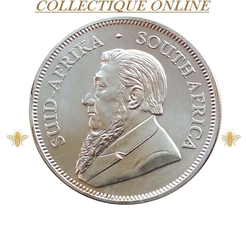 2018 :  1 oz Silver Bullion Krugerrand. As Per Photo.