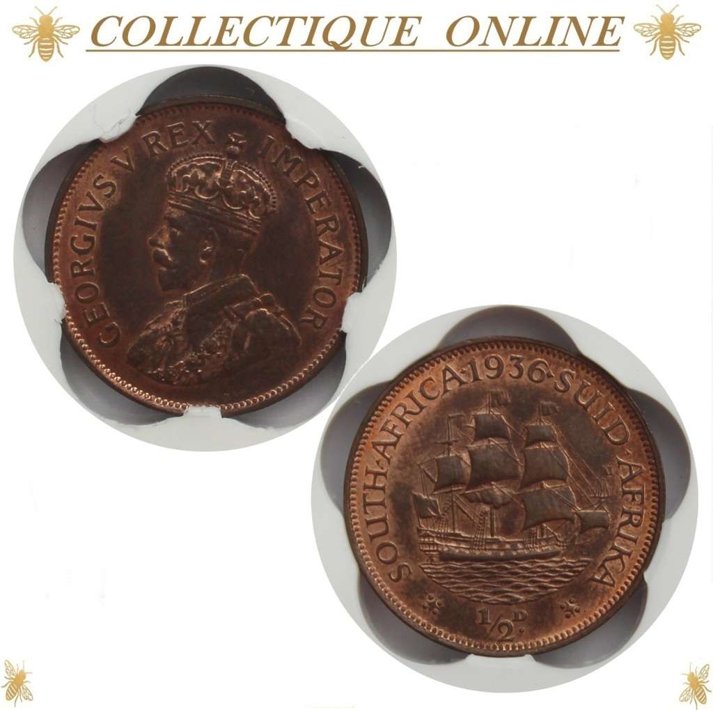 1936 : UNION S. A. : HALF PENNY : COIN IN MS 64  : Low Minted 406.652 : GRADED by S.A.N.G.S.