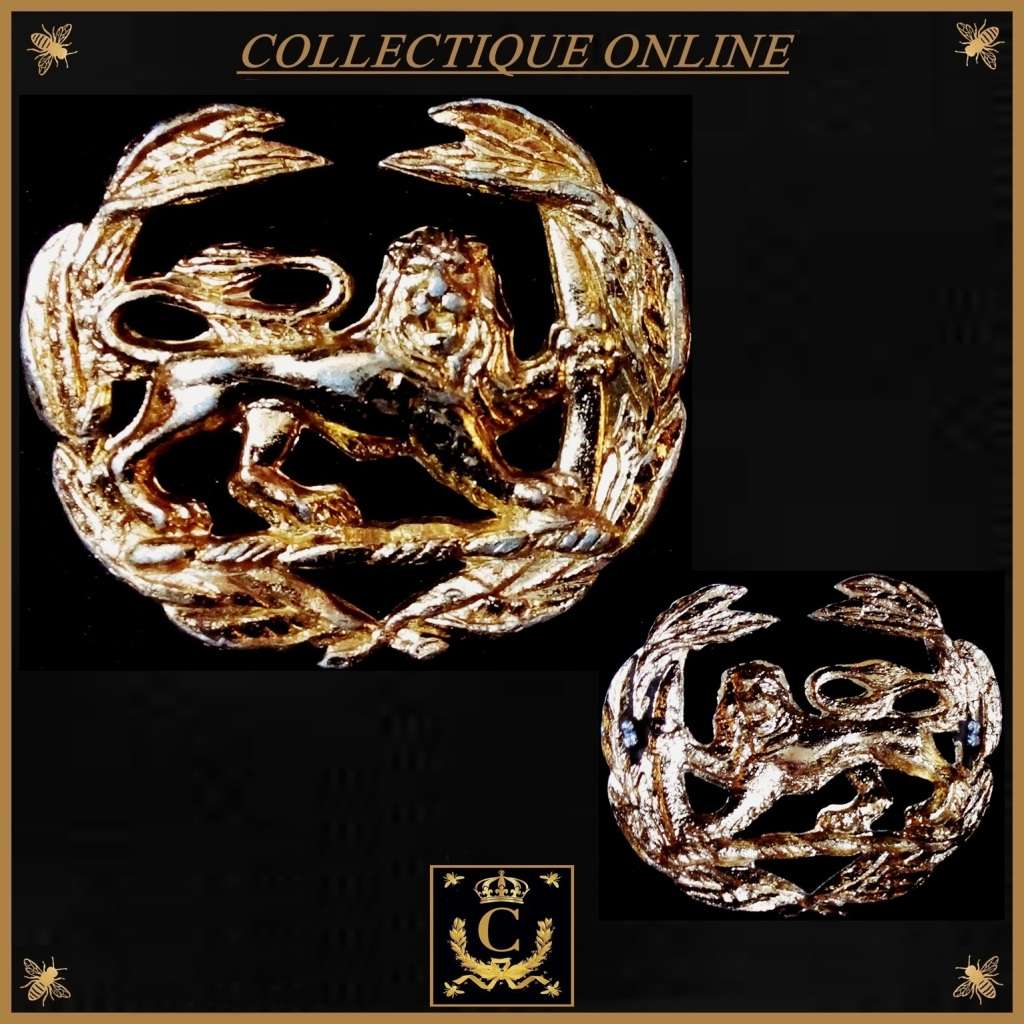 RHODESIA : Rhodesian Rank Badge : it is gilt finished/Both lugs are LOST. Anodised Aluminium.