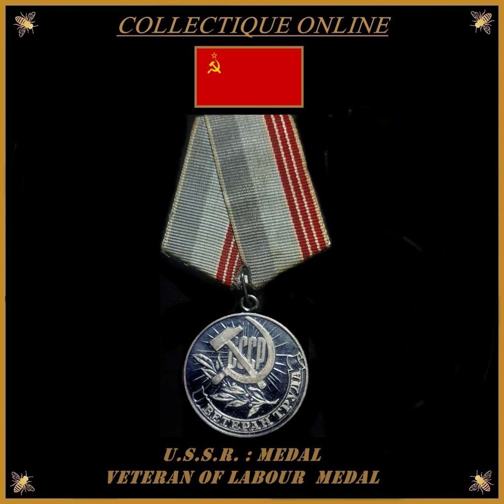 U.S.S.R. : VETERAN OF LABOUR : FULL SIZE : NO NAME. As Per Photo.