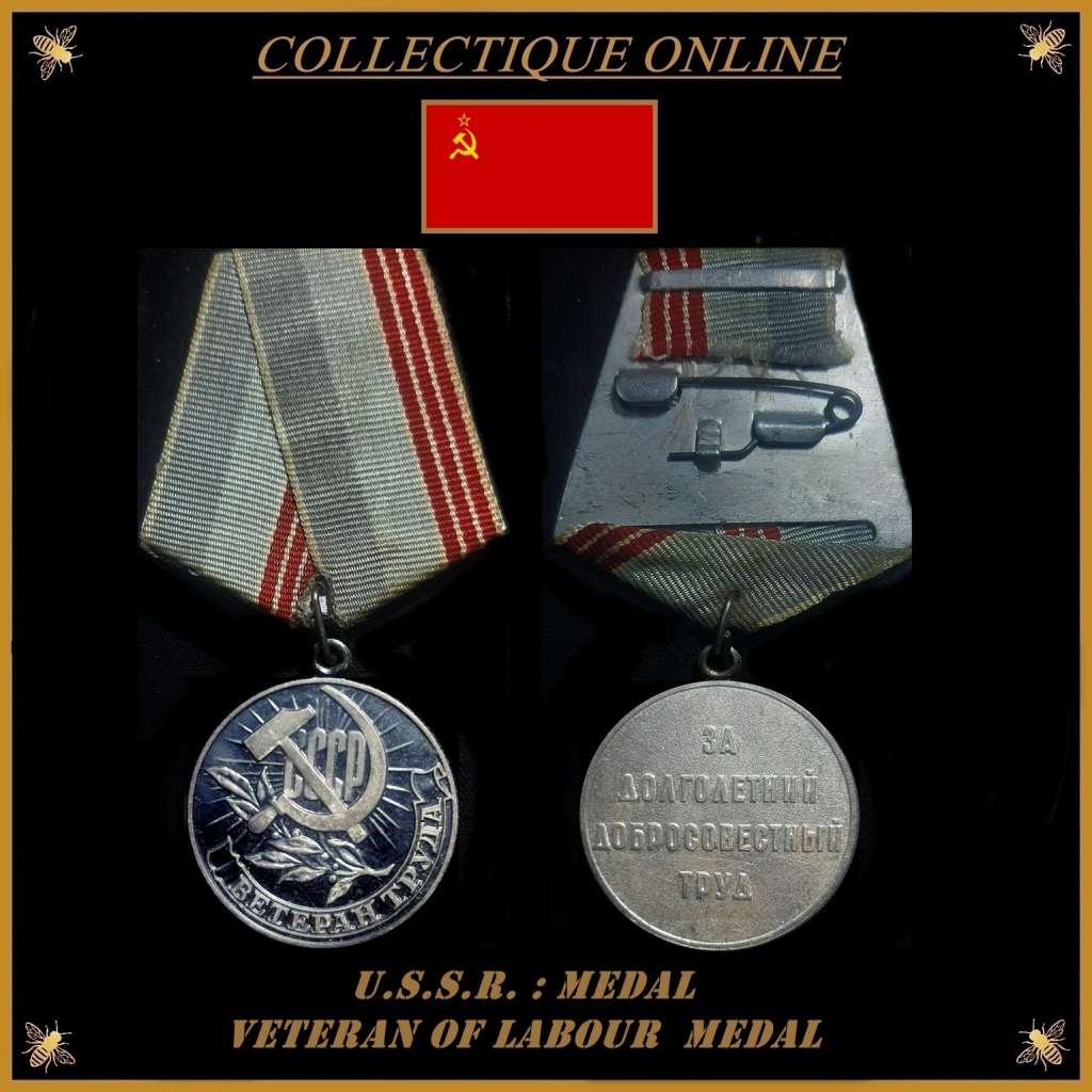 U.S.S.R. : VETERAN OF LABOUR : FULL SIZE : NO NAME. As Per Photo.