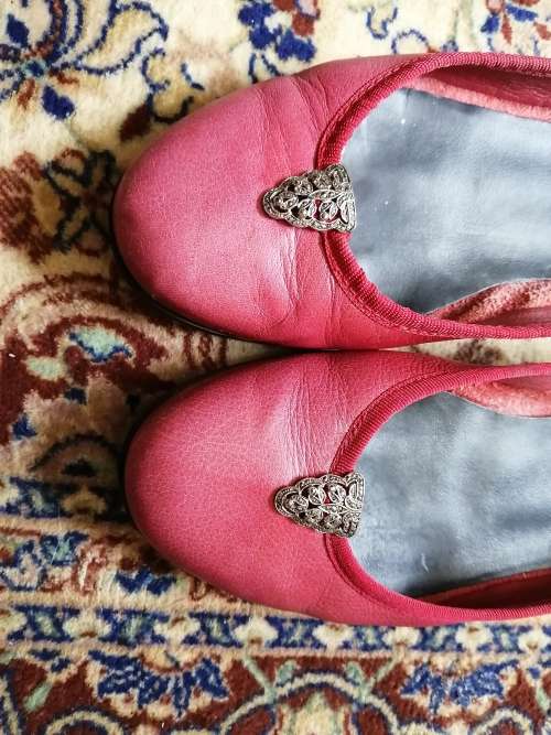 marcasite broochshoe clips