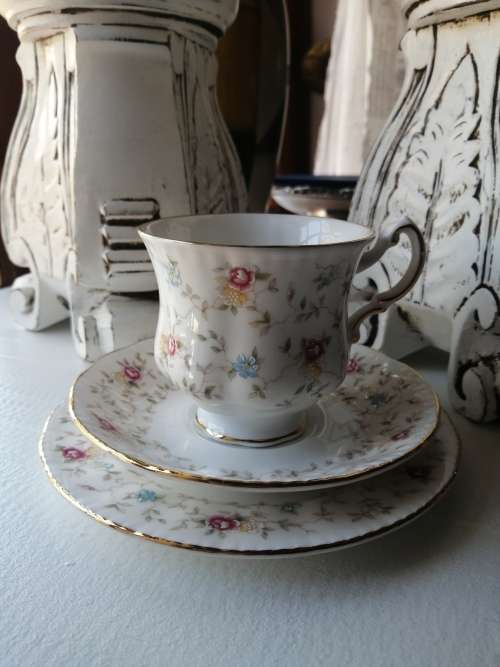 Paragon 'first choice' trio