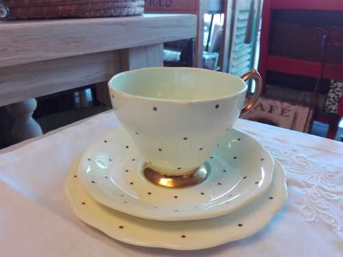 Queen Anne Porcelain Tea Set