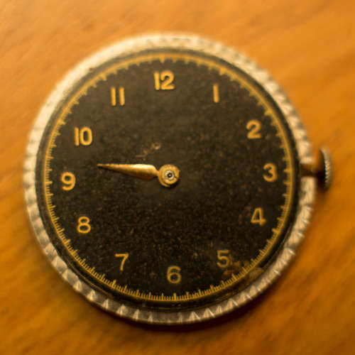 IWC Watch Movement