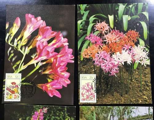 1985 POSTCARD SET OF 4 - SA FLORAL EMIGRANTS- LIKE NEW - BID PER CARD x4 - UN-USED