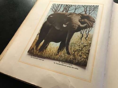 1940 VINTAGE BOOK - OUR SOUTH AFRICA NATIONAL PARKS -BY COL.STEVENSON HAMILTON (KRUGERPARK) TOP COND