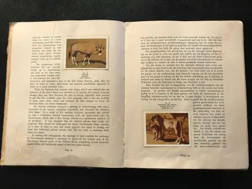 1940 VINTAGE BOOK - OUR SOUTH AFRICA NATIONAL PARKS -BY COL.STEVENSON HAMILTON (KRUGERPARK) TOP COND