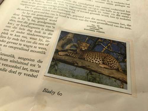 1940 VINTAGE BOOK - OUR SOUTH AFRICA NATIONAL PARKS -BY COL.STEVENSON HAMILTON (KRUGERPARK) TOP COND