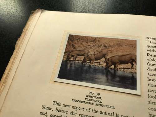 1940 VINTAGE BOOK - OUR SOUTH AFRICA NATIONAL PARKS -BY COL.STEVENSON HAMILTON (KRUGERPARK) TOP COND