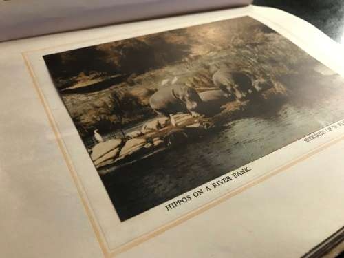 1940 VINTAGE BOOK - OUR SOUTH AFRICA NATIONAL PARKS -BY COL.STEVENSON HAMILTON (KRUGERPARK) TOP COND