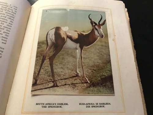 1940 VINTAGE BOOK - OUR SOUTH AFRICA NATIONAL PARKS -BY COL.STEVENSON HAMILTON (KRUGERPARK) TOP COND