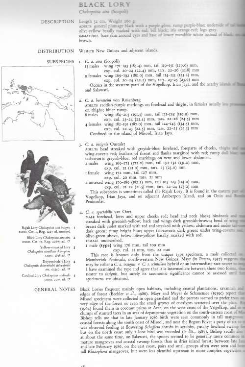 Parrots of the World 3rd Edition by Joseph M. Forshaw and William T. Cooper