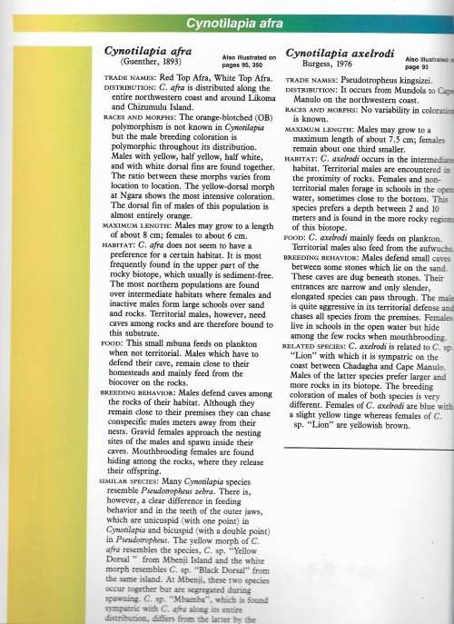 Ad Koningings's Cichlids and all the other Fishes of Lake Malawi by Ad Konings