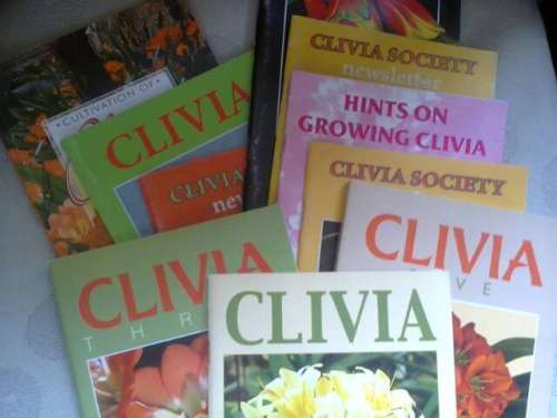 Clivia yearbooks etc