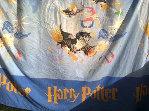 Harry Potter curtains