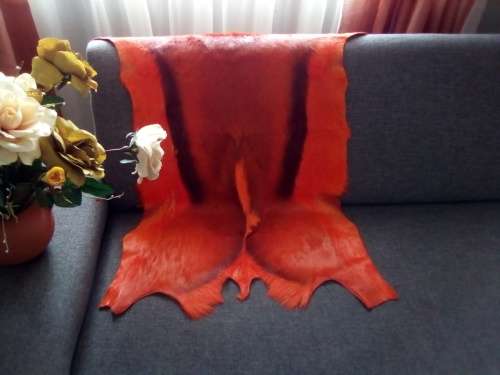 Strong orange dyed springbok hide