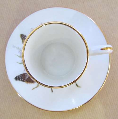 ROYAL GRAFTON England BUTTERFLIES Demitasse Cup & Saucer FLOWERS Coffee/Expresso Cup! Stunning!!!!!