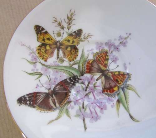 ROYAL GRAFTON England BUTTERFLIES Demitasse Cup & Saucer FLOWERS Coffee/Expresso Cup! Stunning!!!!!