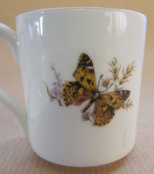ROYAL GRAFTON England BUTTERFLIES Demitasse Cup & Saucer FLOWERS Coffee/Expresso Cup! Stunning!!!!!