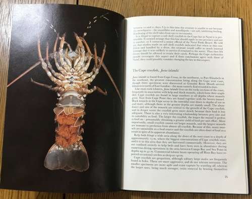 DIVING FOR CRAYFISH IN SOUTH AFRICA COLIN VARY Published by Struik 1983 Margo Branch LOBSTERS.