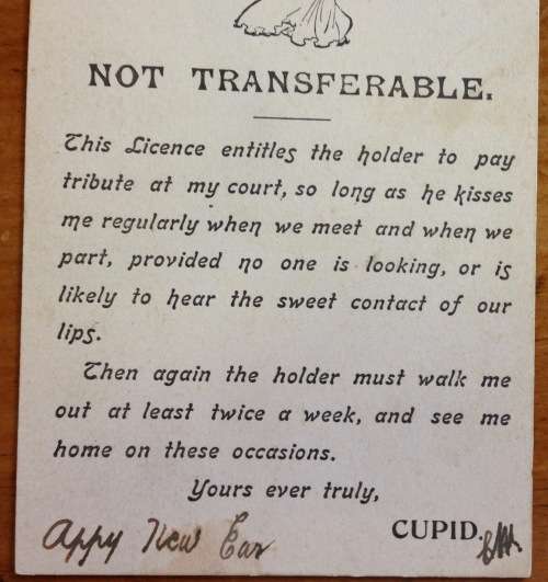 POSTCARD POST CARD LOVER`S LICENCE CUPID GRAHAMSTOWN 1907 EASTERN CAPE AMAZING CARD!!!! KEVII 1/2p.