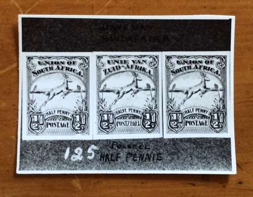 POST OFFICE ARCHIVES REPUBLIC of SOUTH AFRICA OFFICIAL COPYRIGHT ESSAY 49 1/2d PRONKING SPRINGBOK