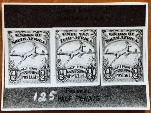 POST OFFICE ARCHIVES REPUBLIC of SOUTH AFRICA OFFICIAL COPYRIGHT ESSAY 49 1/2d PRONKING SPRINGBOK