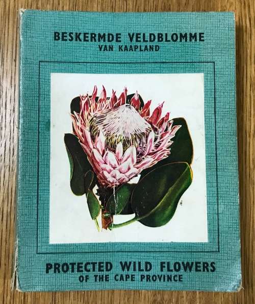 PROTECTED WILD FLOWERS of the CAPE PROVINCE BESKERMDE VELDBLOMME van KAAPLAND 1958 MAPS COLOUR ART.